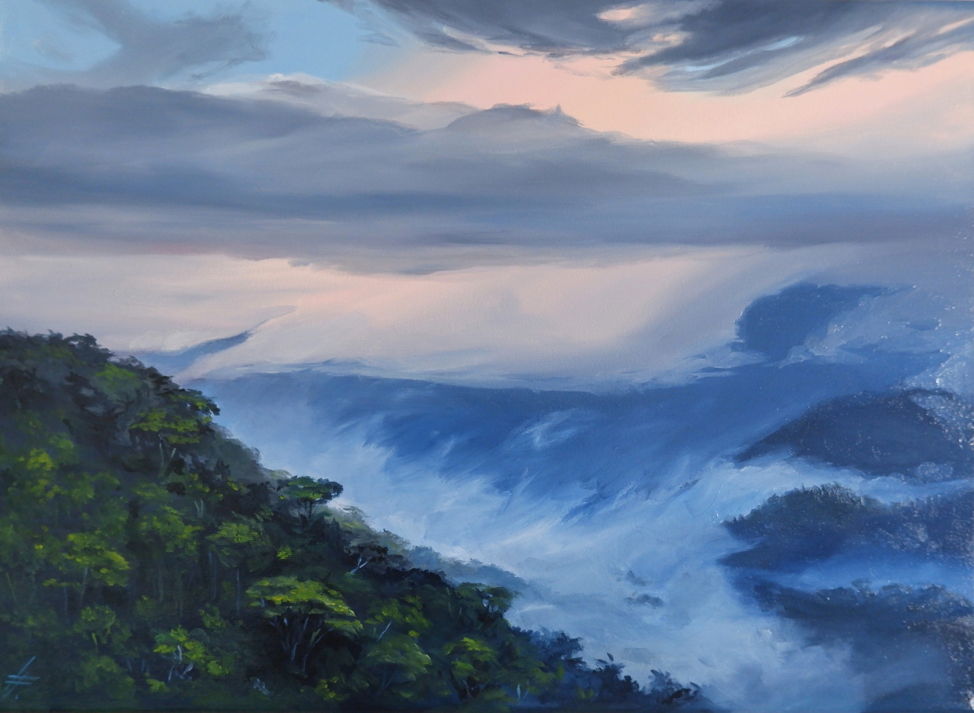 rainforest