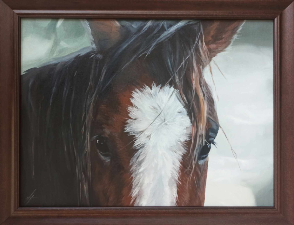 "kôň" 45x35