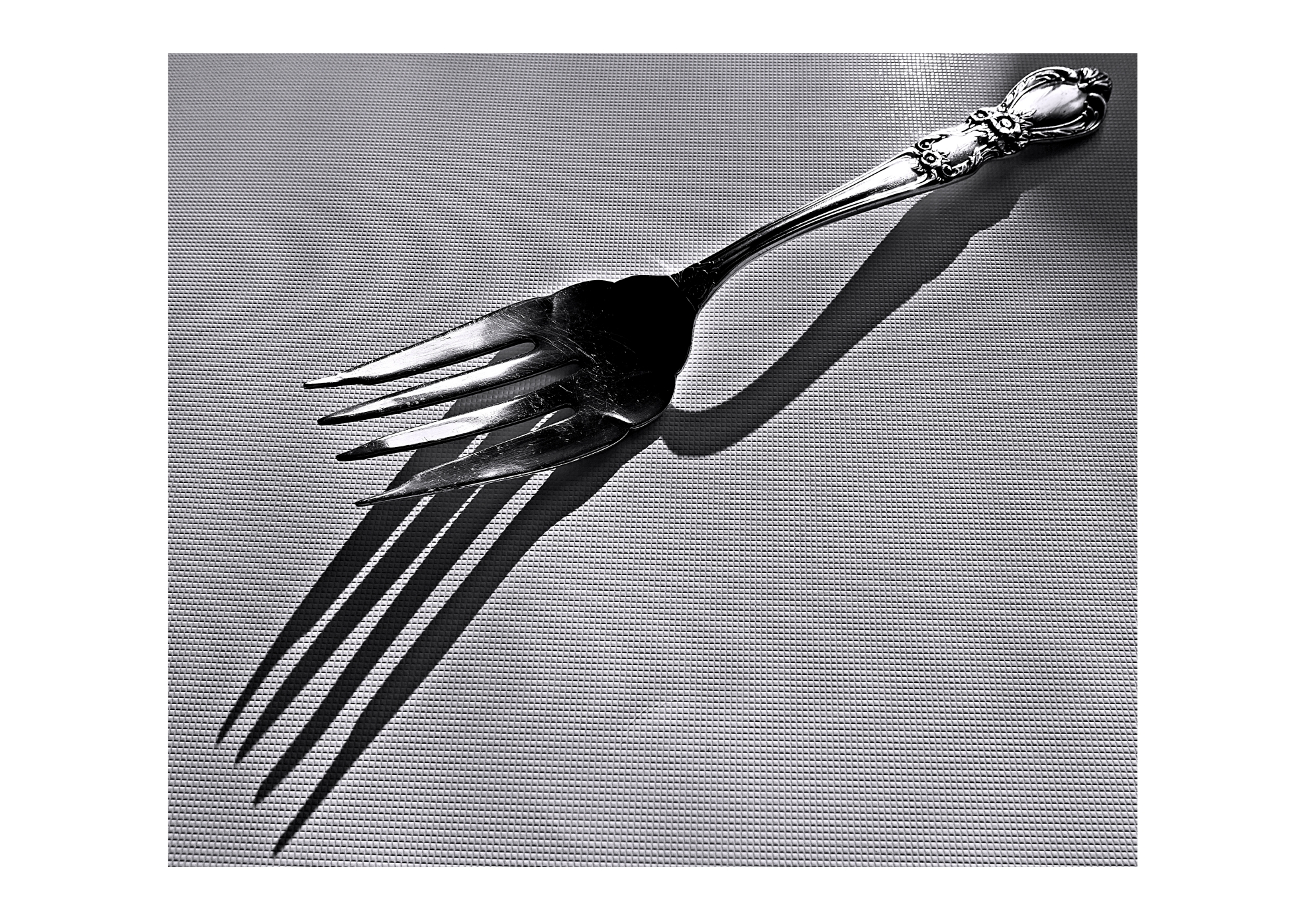THE FORK / 2022