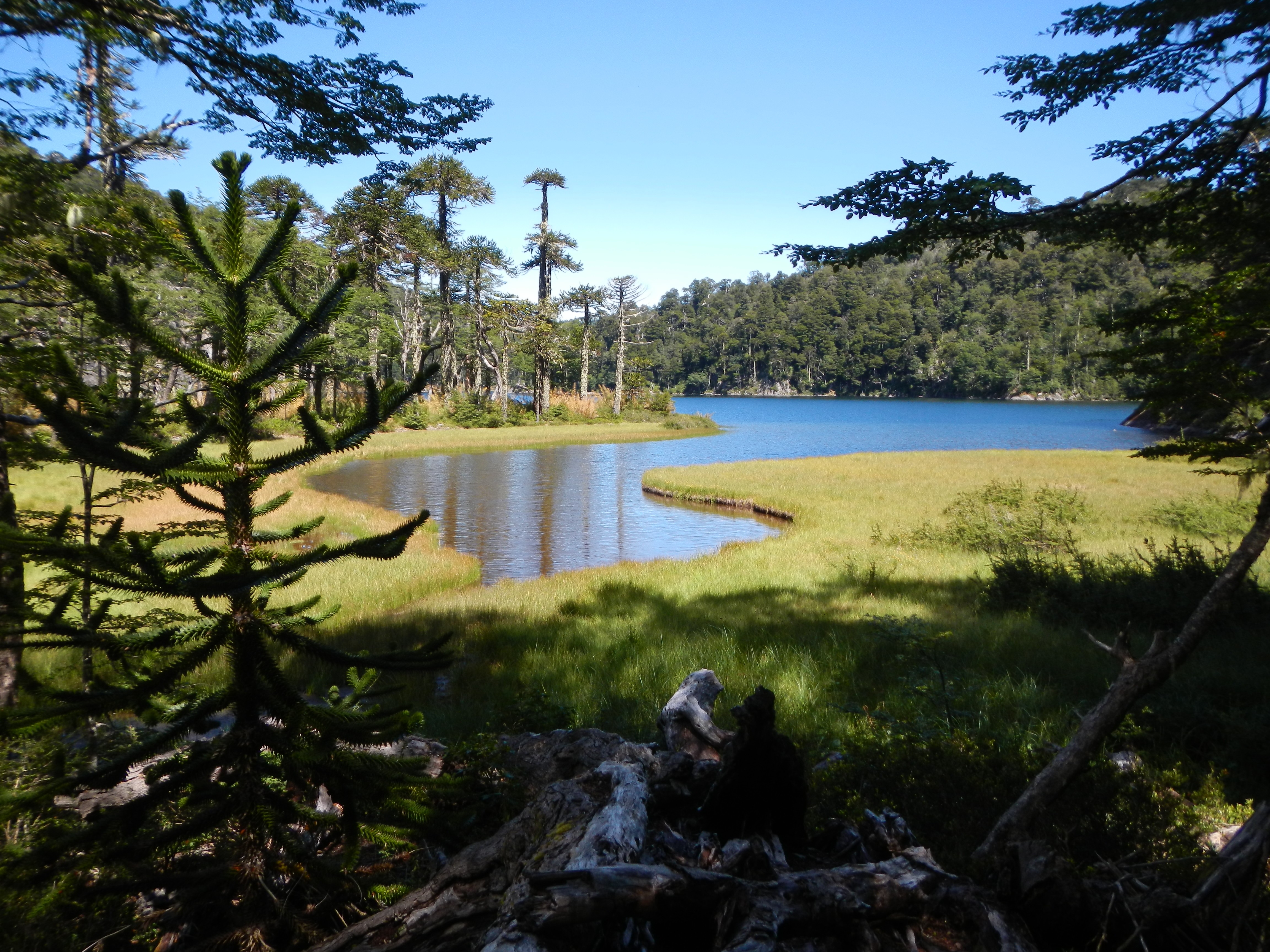 Huerquehue, Chile