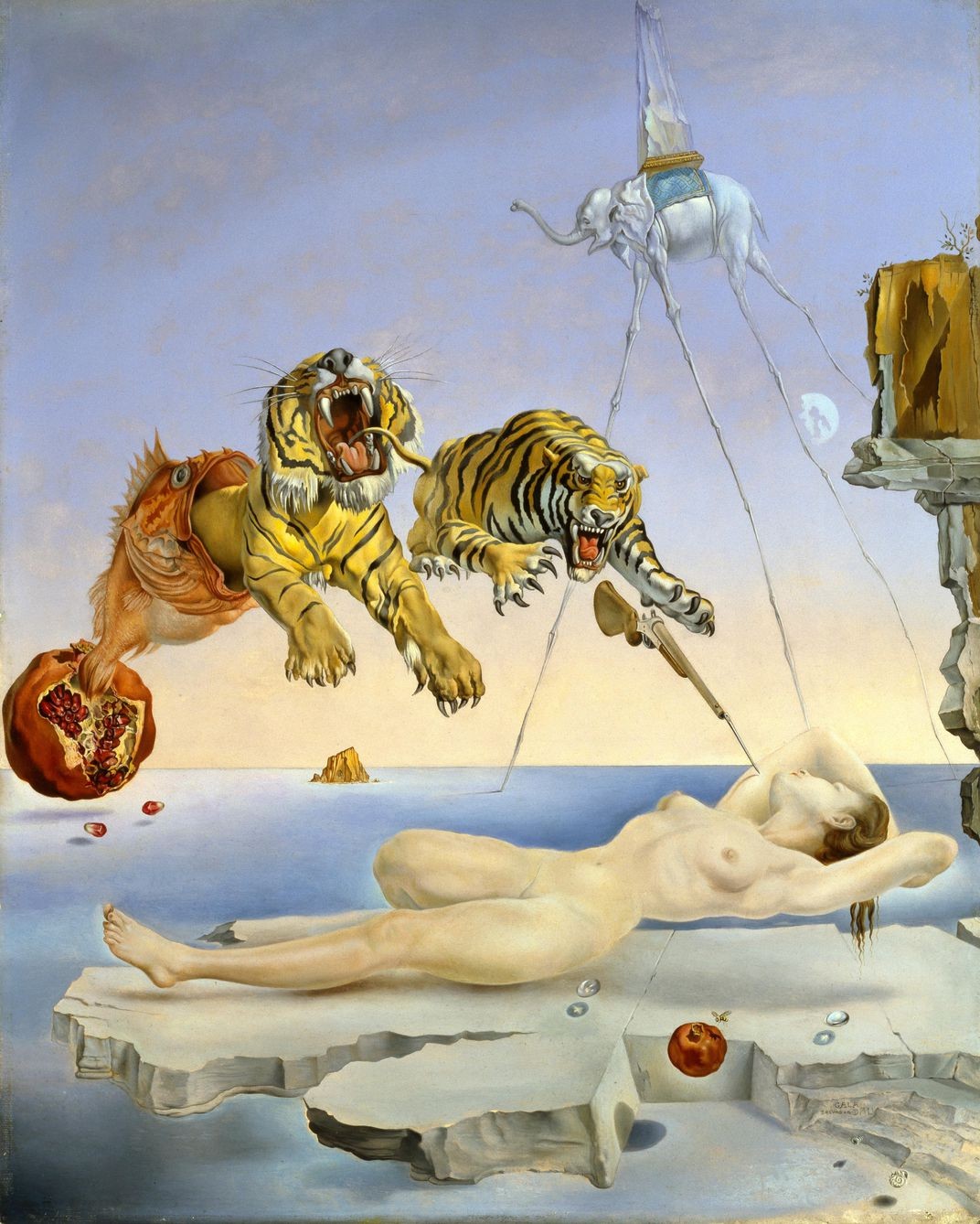 salvador-dali